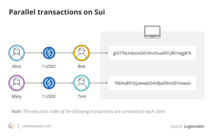 探索 Sui 以对象为中心的模型