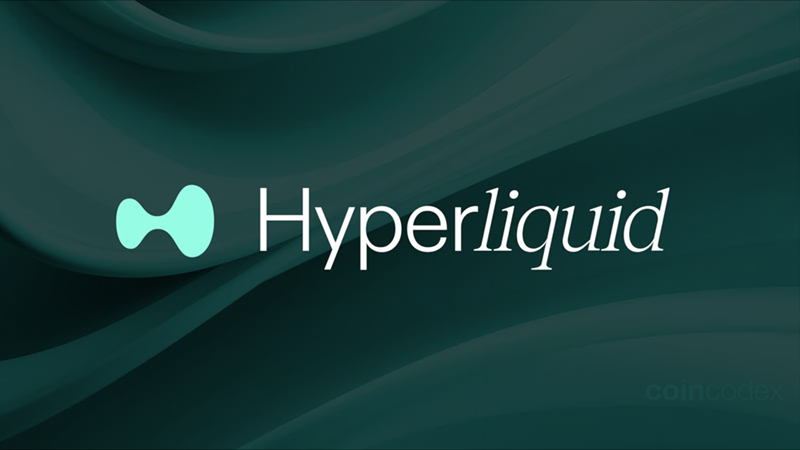 探索 Hyperliquid 生态系统