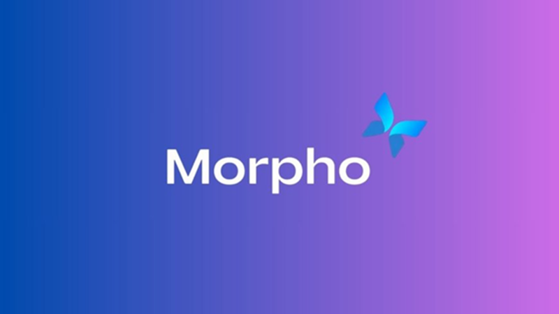 Morpho的崛起